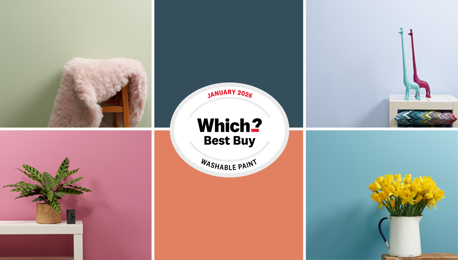 Frenchic Chalk Wall Paint has been named a Which? Best Buy for Washable Wall Paint