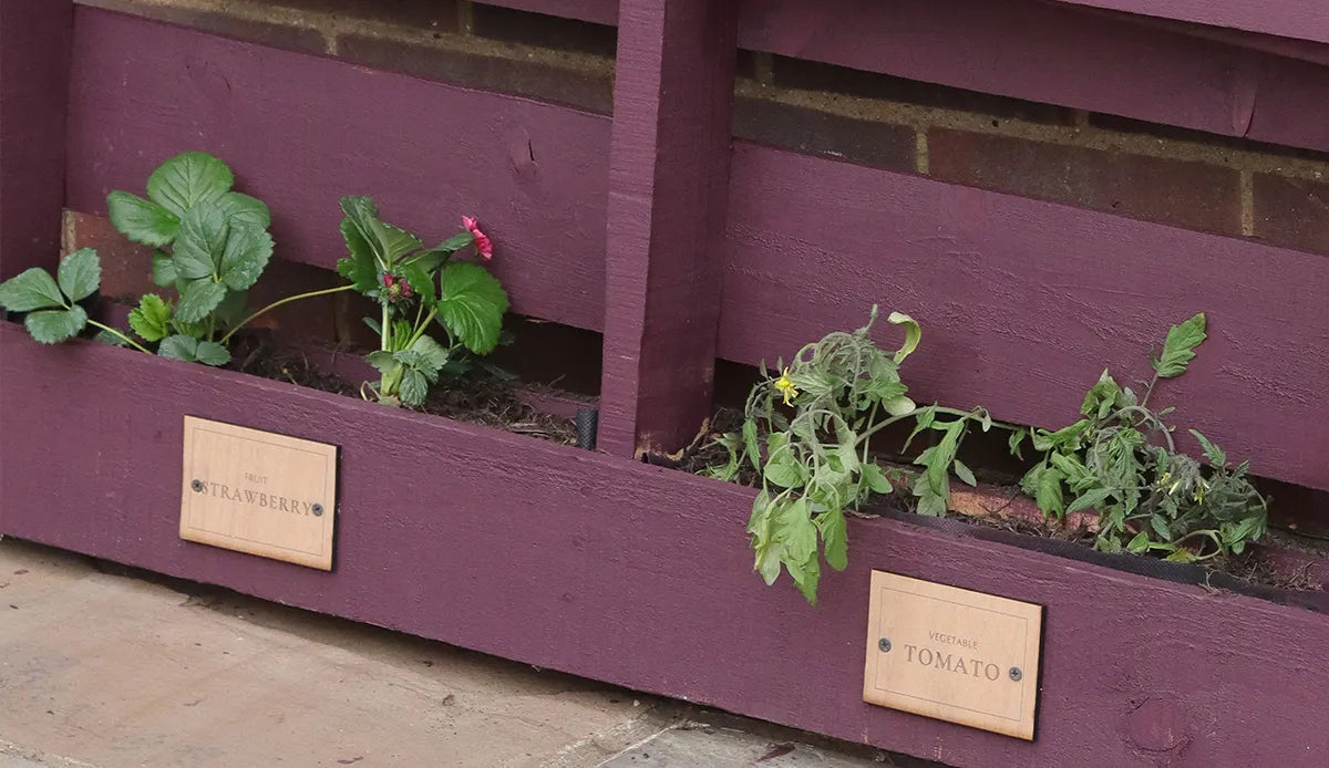 Unlock Your Garden's Potential: Expert Tips for a Stunning Transformation