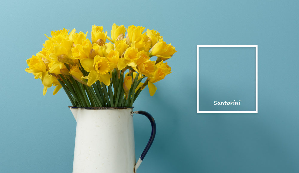 Ocean Paint Colours: Dip Your Toe or Dive Into This Trend