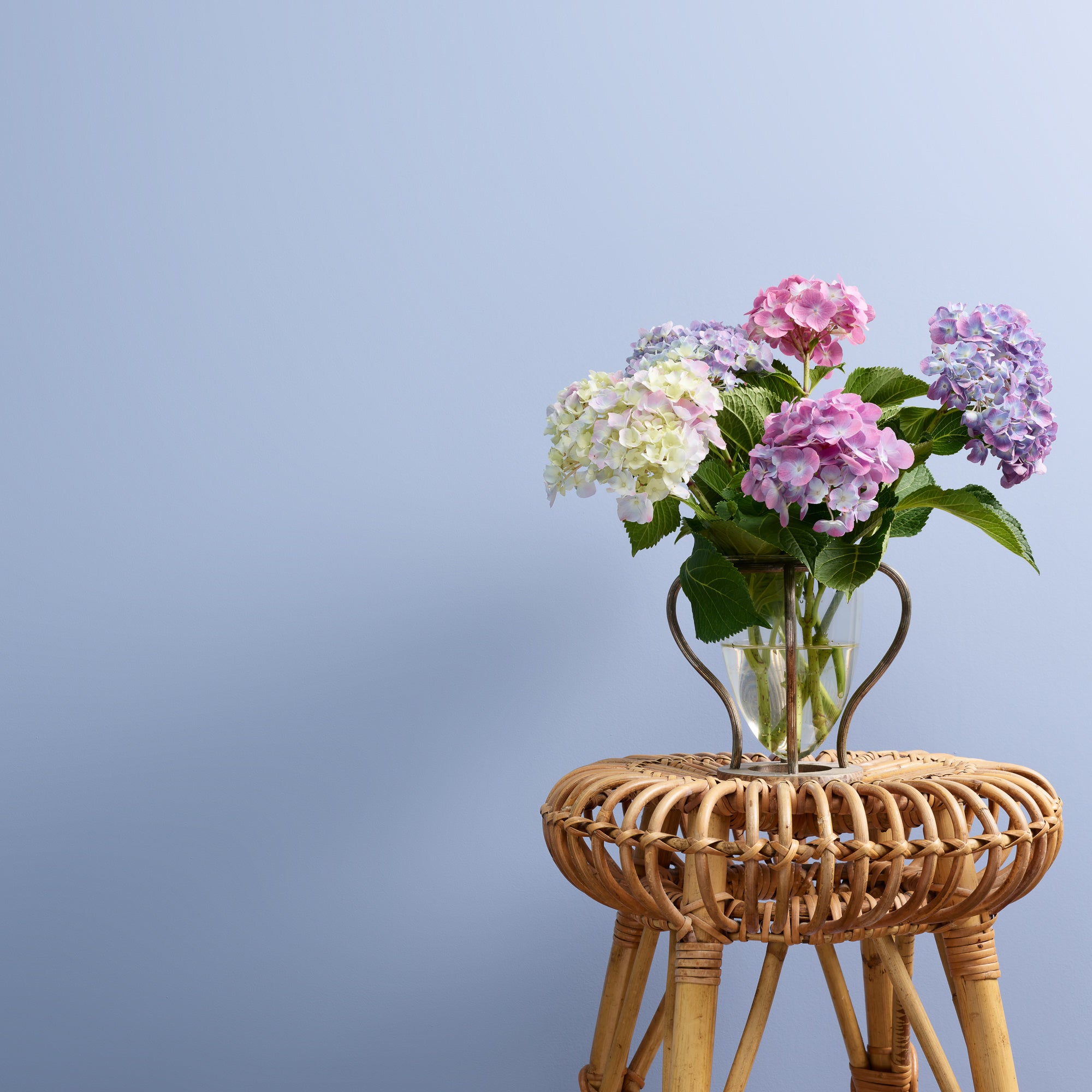 Moody Blue - Peel & Stick Paint Sample