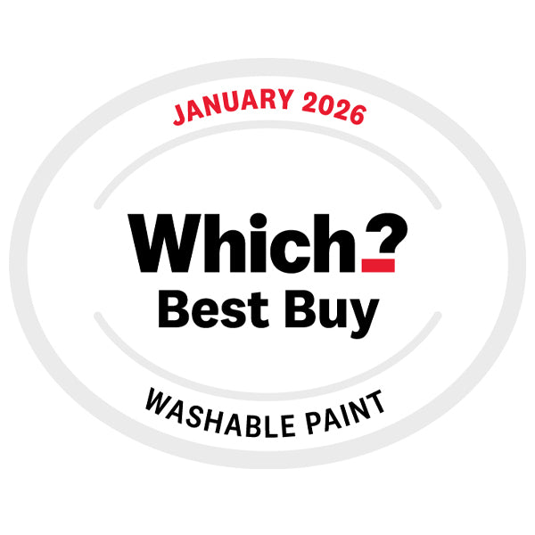 Lady Grey Wall Paint