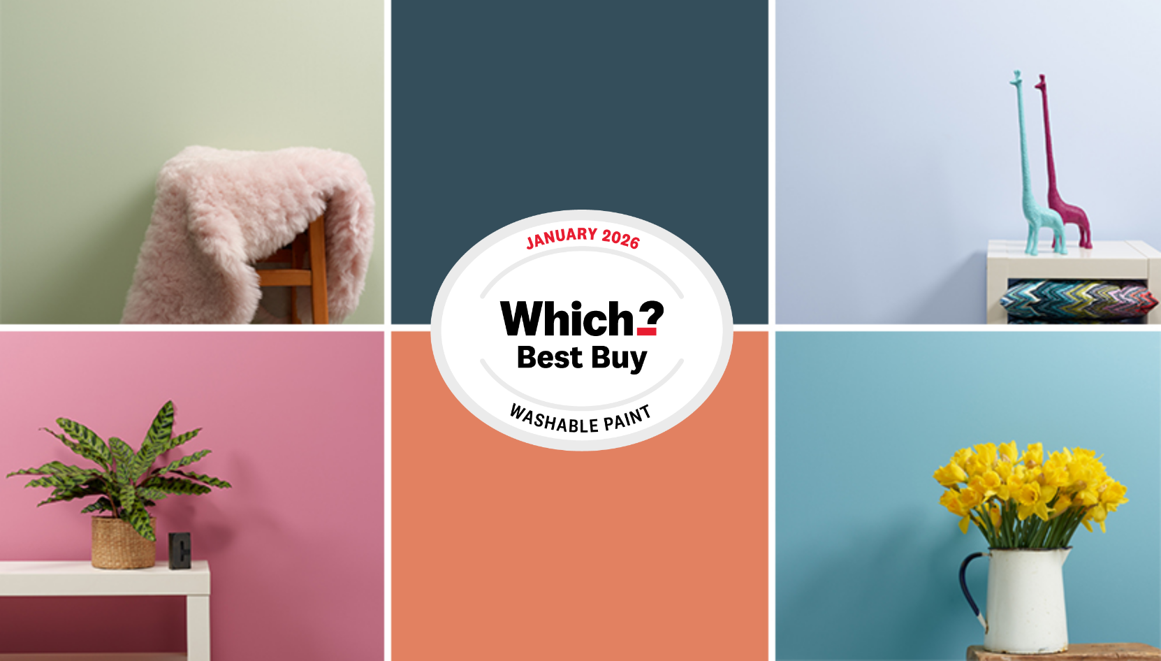 Frenchic Chalk Wall Paint has been named a Which? Best Buy for Washable Wall Paint