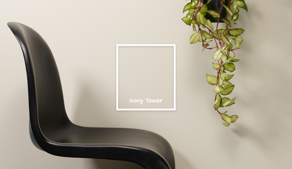 The Monochrome Movement: Decorating with Black and White