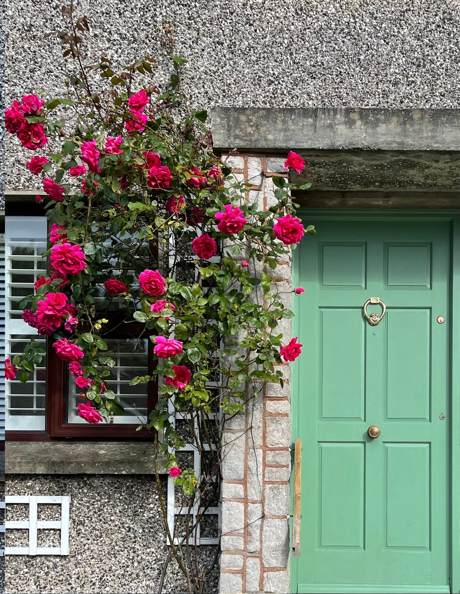 Apple of My Eye Door Upcycle with Tuff Top Coat