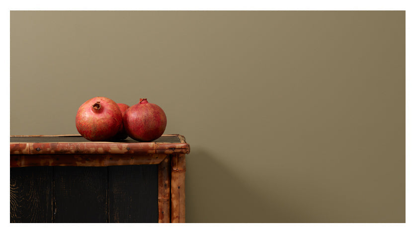 North-Facing Rooms: Warming Up the Coolest Light