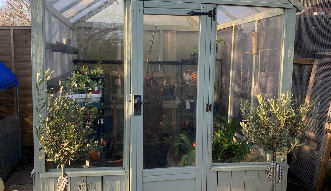 What’s the Best Paint for Greenhouses?