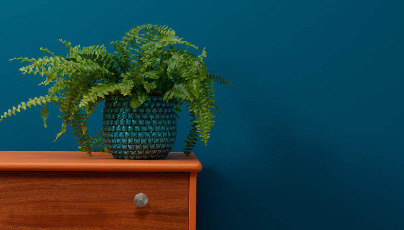 Steel Teal: One Colour, Four Ways to Use It