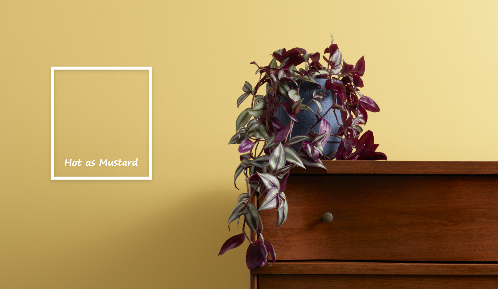 Using Yellow Paint Colours in Your Home's Interior Design