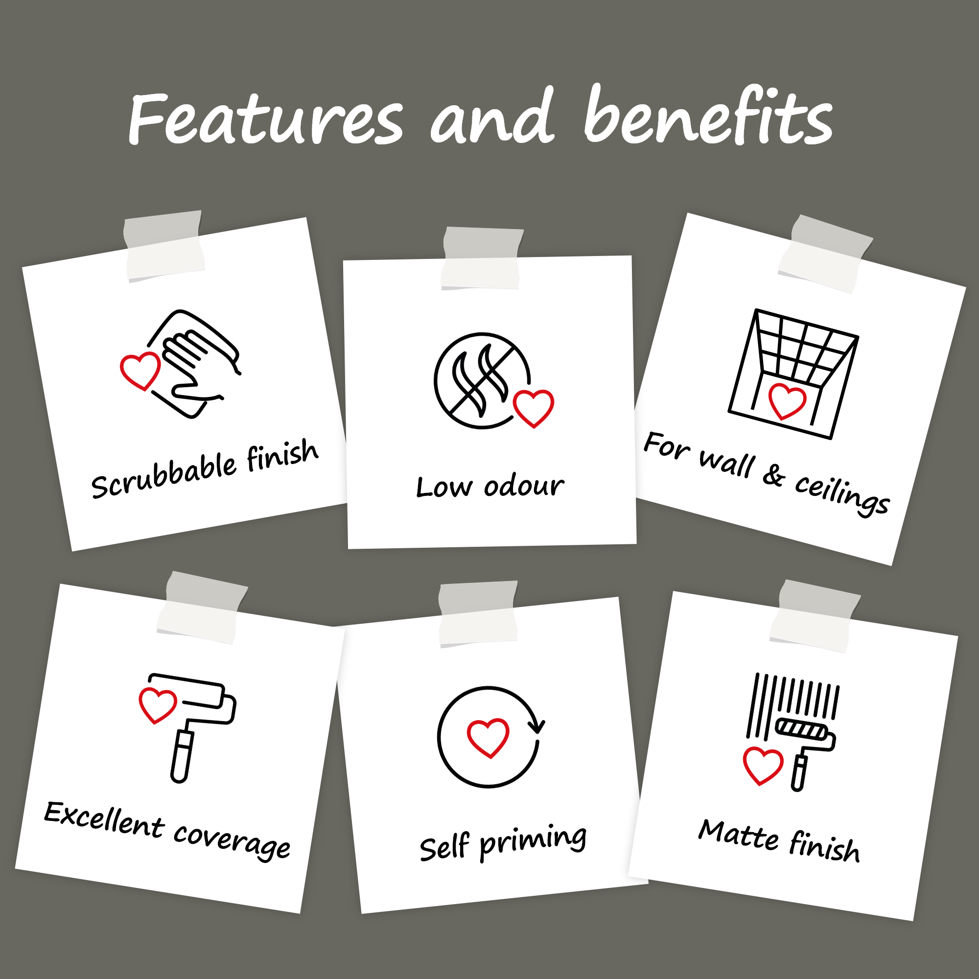 Donkey Derby Wall Paint