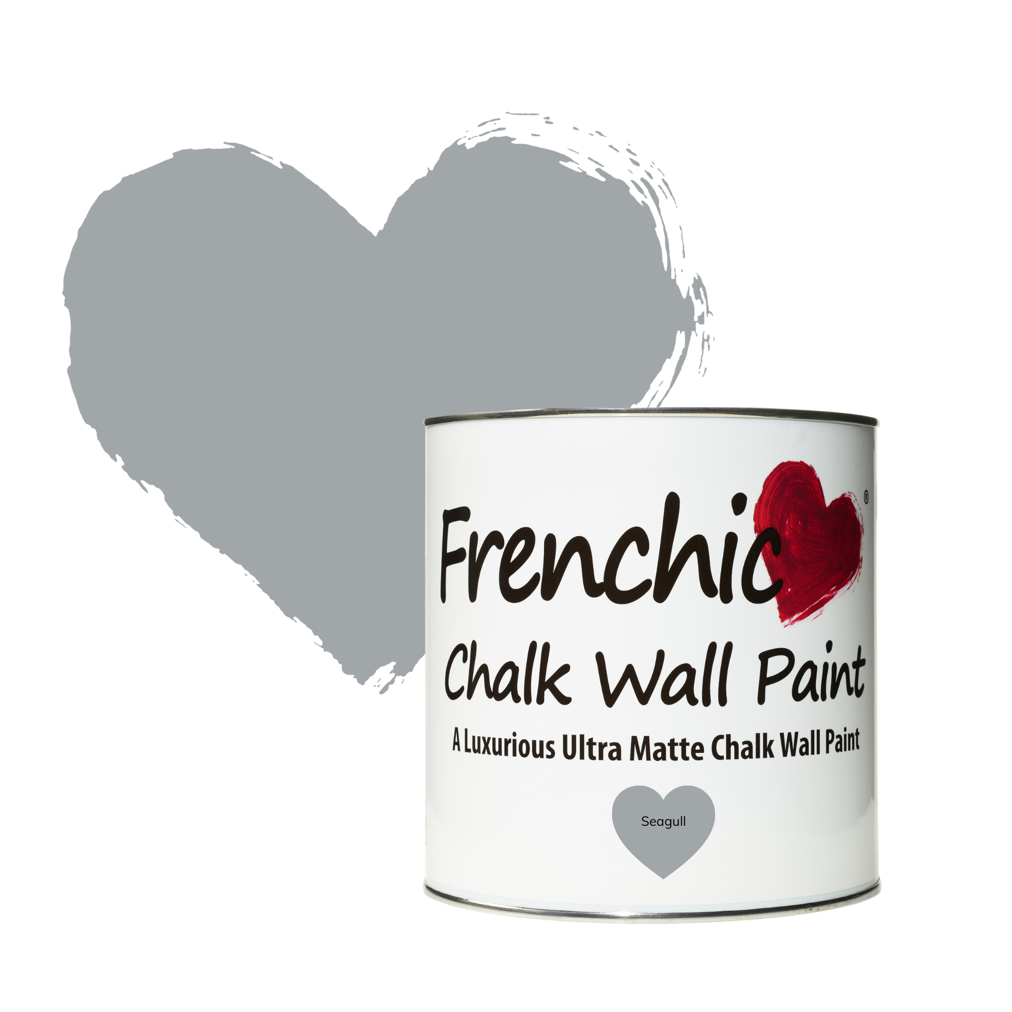 Seagull Wall Paint