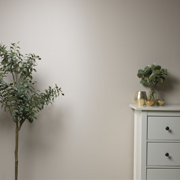 Stone Rosie - Soft Beige Matte Chalk Wall Paint | Frenchic