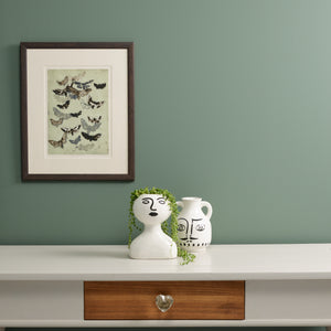 Steaming Green Wall Paint