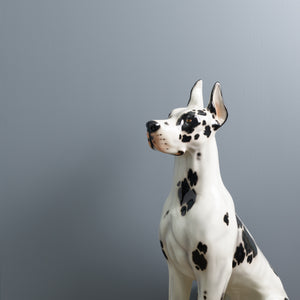Greyhound Trim Paint
